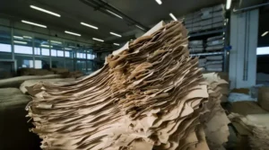 Przeprowadź audyt odpadów — przez 4 tygodnie waż i kategoryzuj wszystkie strumienie odpadów opuszczające magazyn. To da ci dane wyjściowe i pomoże wskazać najważniejsze obszary działania.